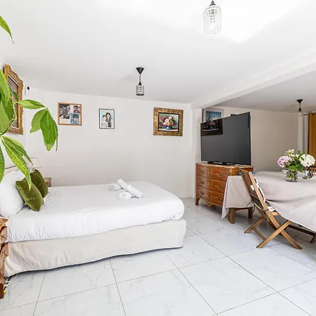 La Des Fleurs En Duplex Avec Jardin Et Piscine Villa Le Cannet