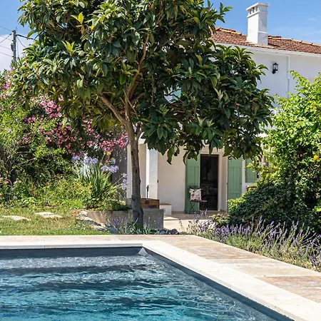 La Des Fleurs En Duplex Avec Jardin Et Piscine